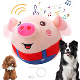 Dancing Piggy Ball Toy
